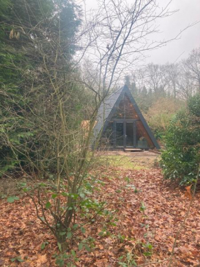 A-huis in het bos van Drenthe